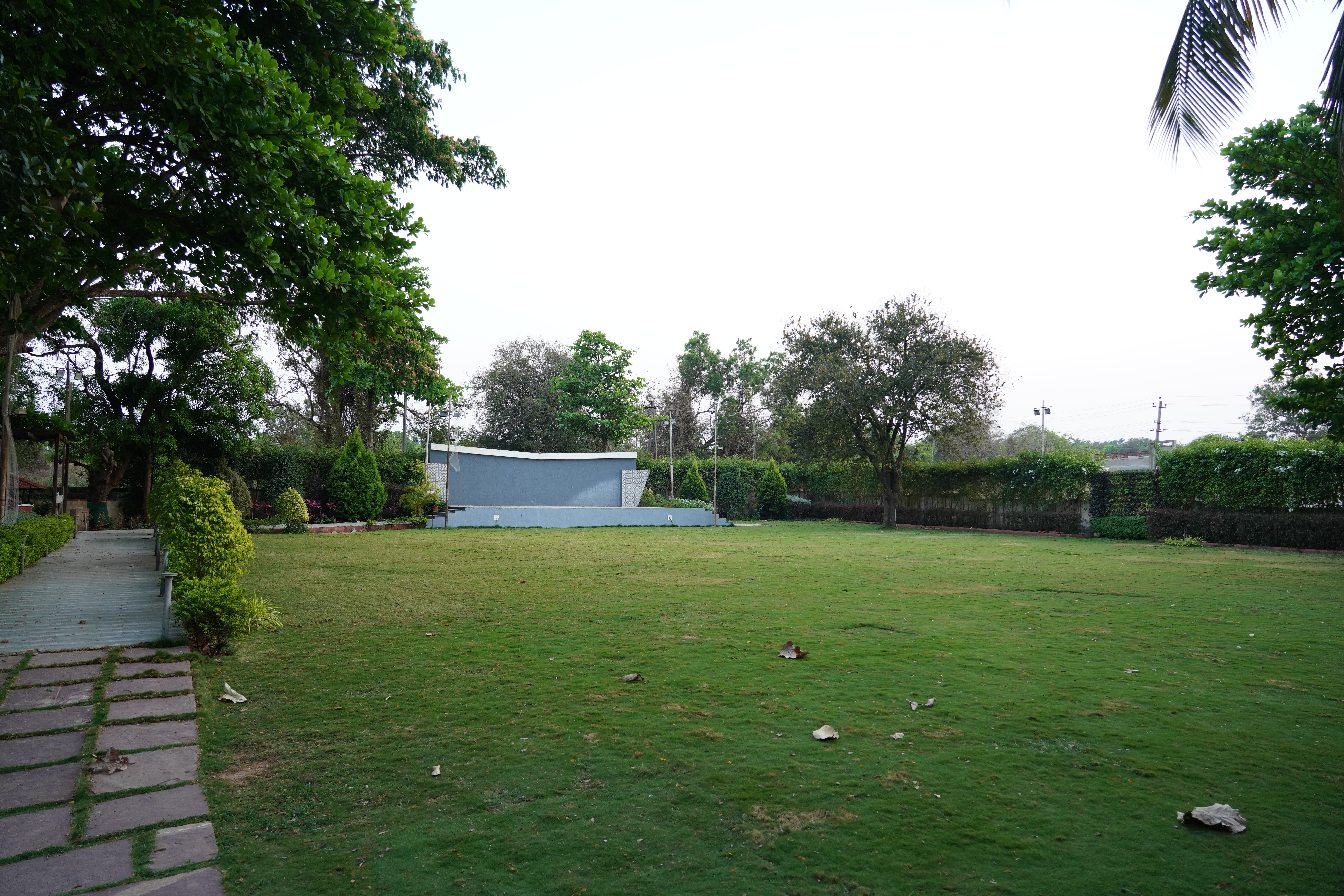 Lawn Image